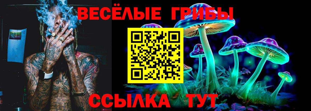 Галлюциногенные грибы Psilocybine cubensis Старая Купавна