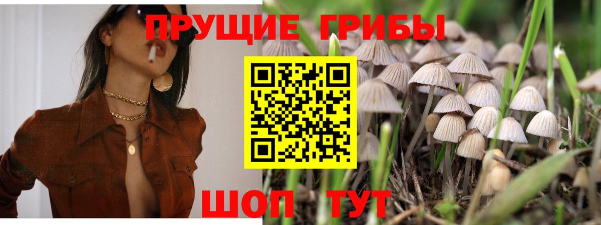 Старая Купавна  Псилоцибиновые грибы ЛСД  Вход с VPN 